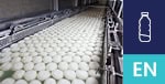 Disinfection for Pseudomonas Spp Elimination at Galbani Dairy, Italy